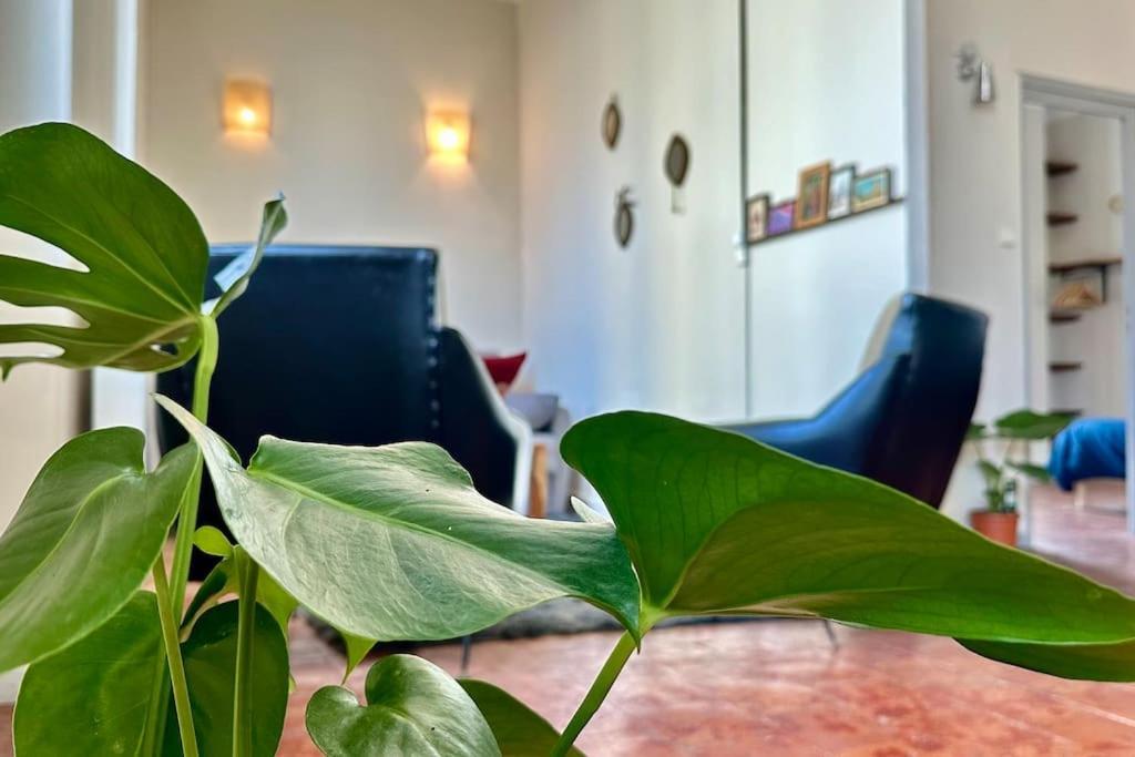 Sc Collection - Charme Et Authenticite Du Panier Apartment Marseille Luaran gambar